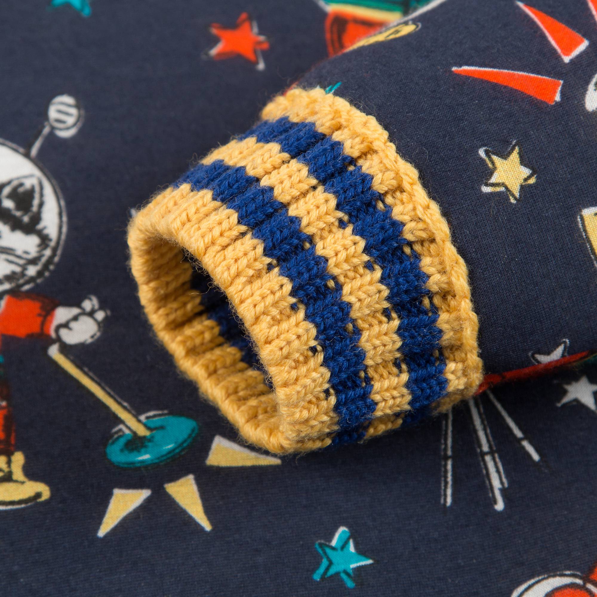 Baby Boys Blue Cotton Sweatshirt