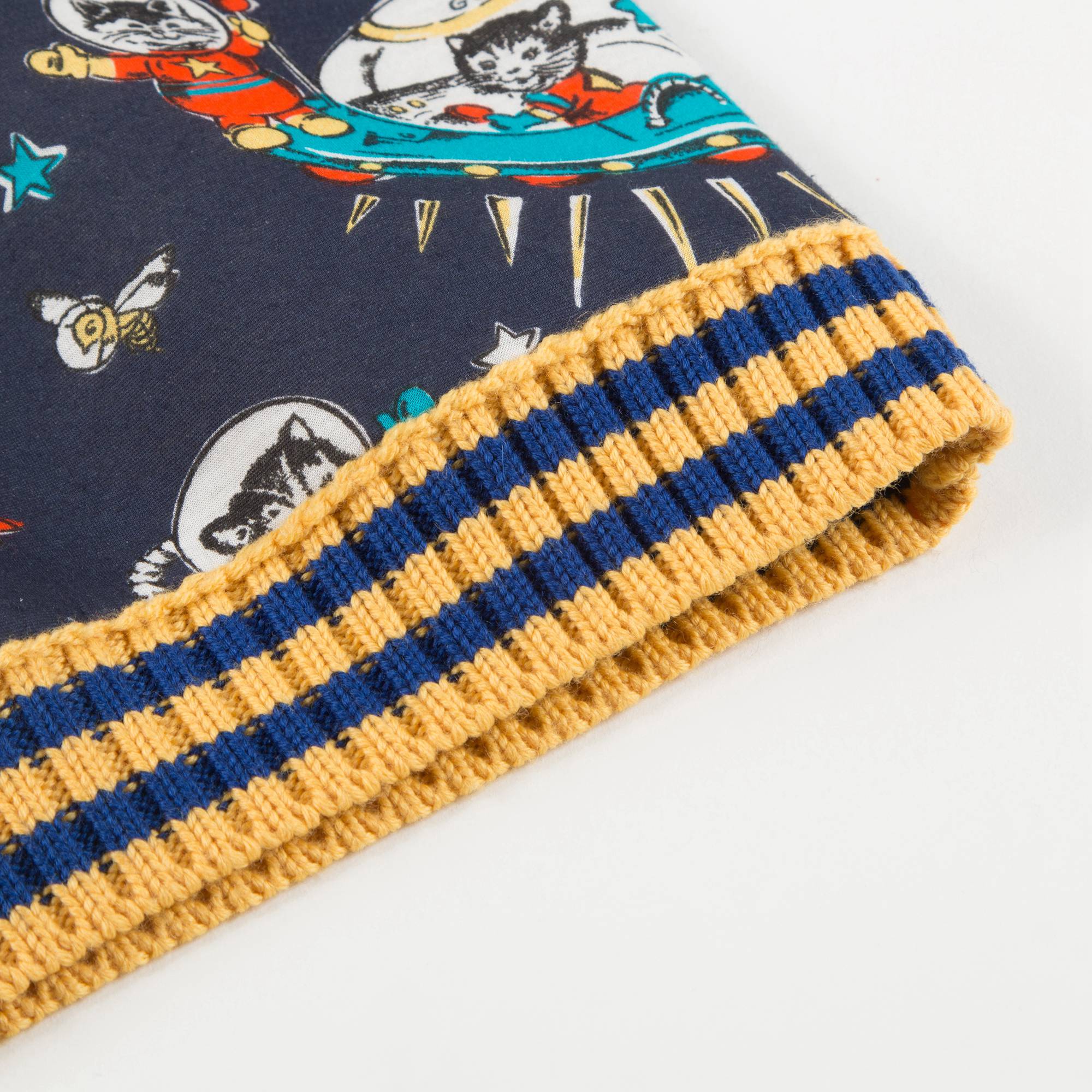 Baby Boys Blue Cotton Sweatshirt
