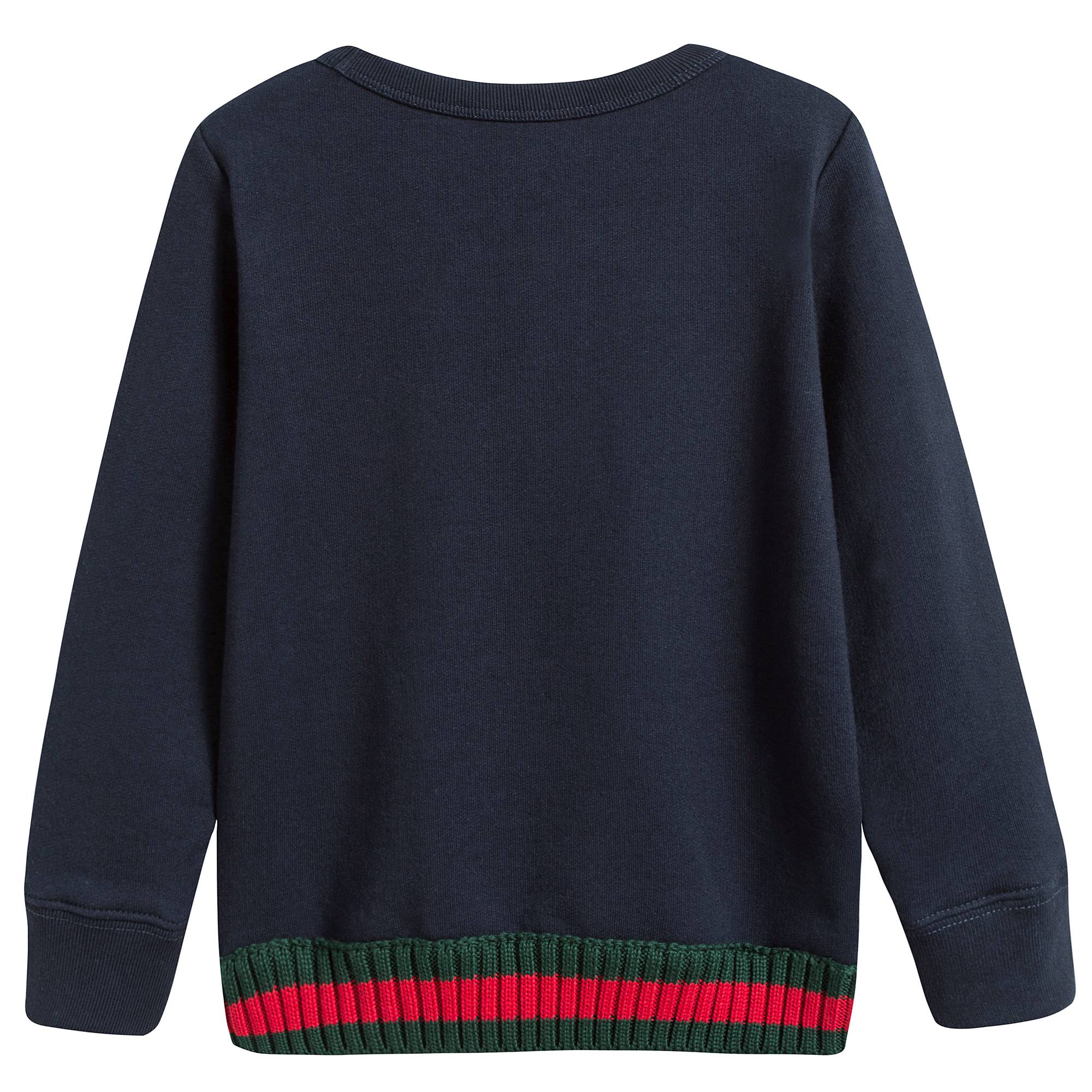 Boys Blue Sweatshirt With Web