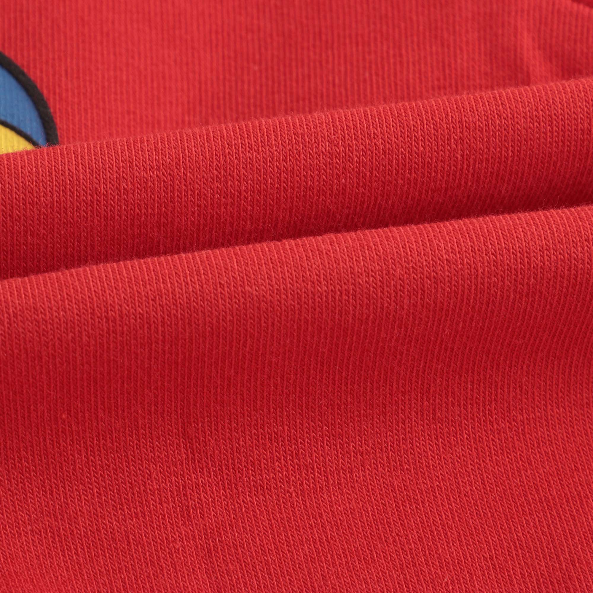 Baby Boys & Girls Red Zip Hooded Sweatshirt