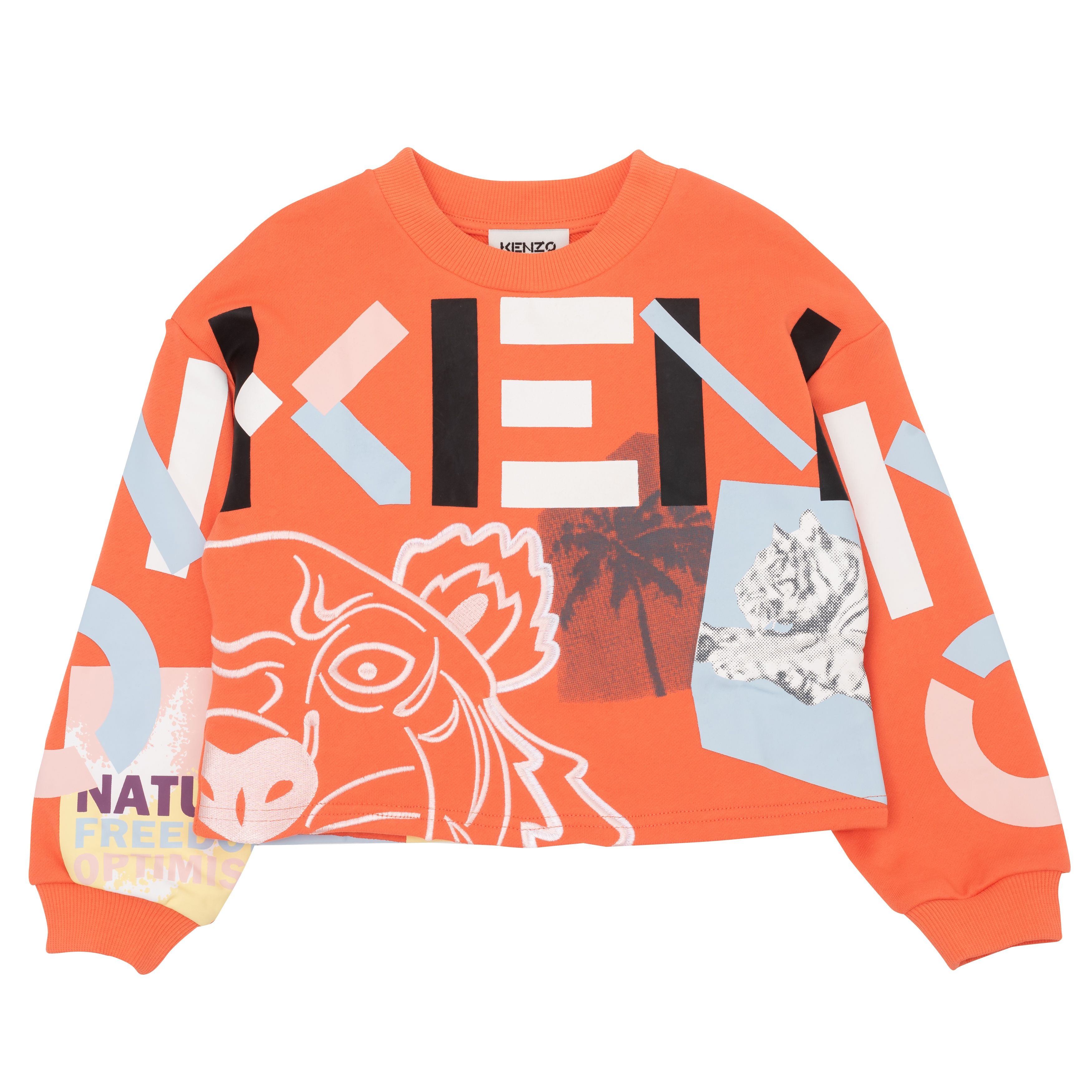 Boys & Girls Orange Cotton Sweatshirt