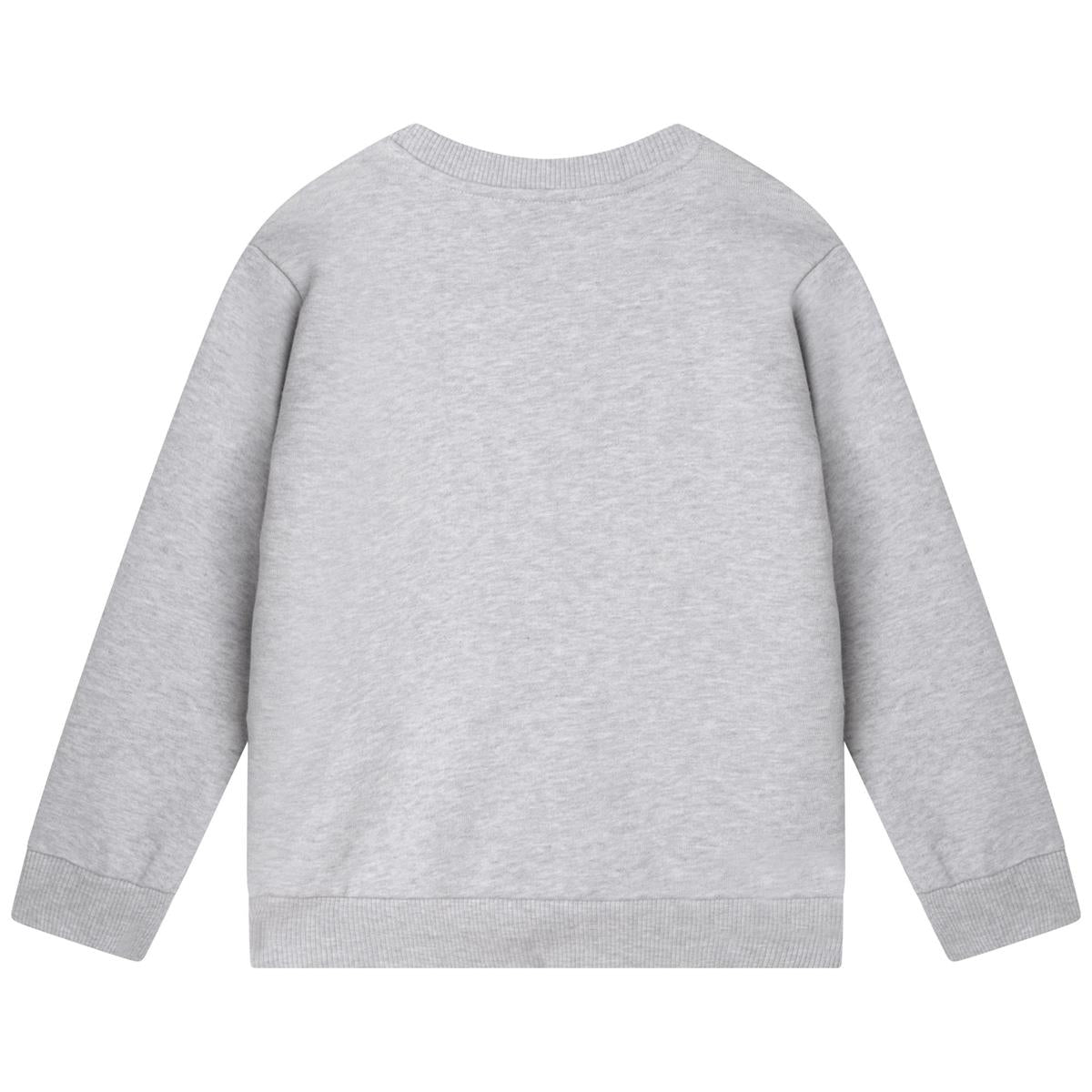 Boys Grey Printed Sweatshirt