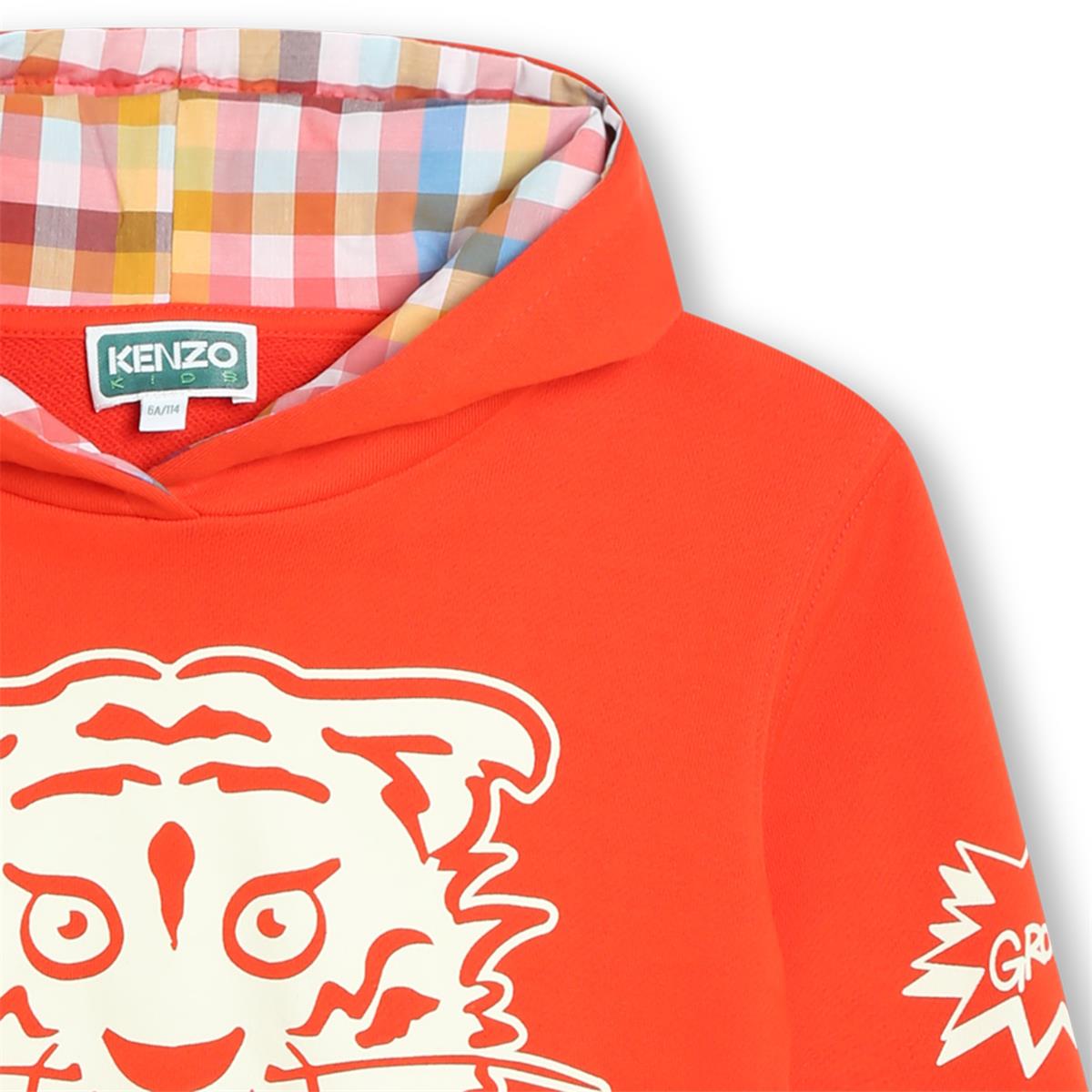 Boys Red Hooded Cotton Sweatshirt