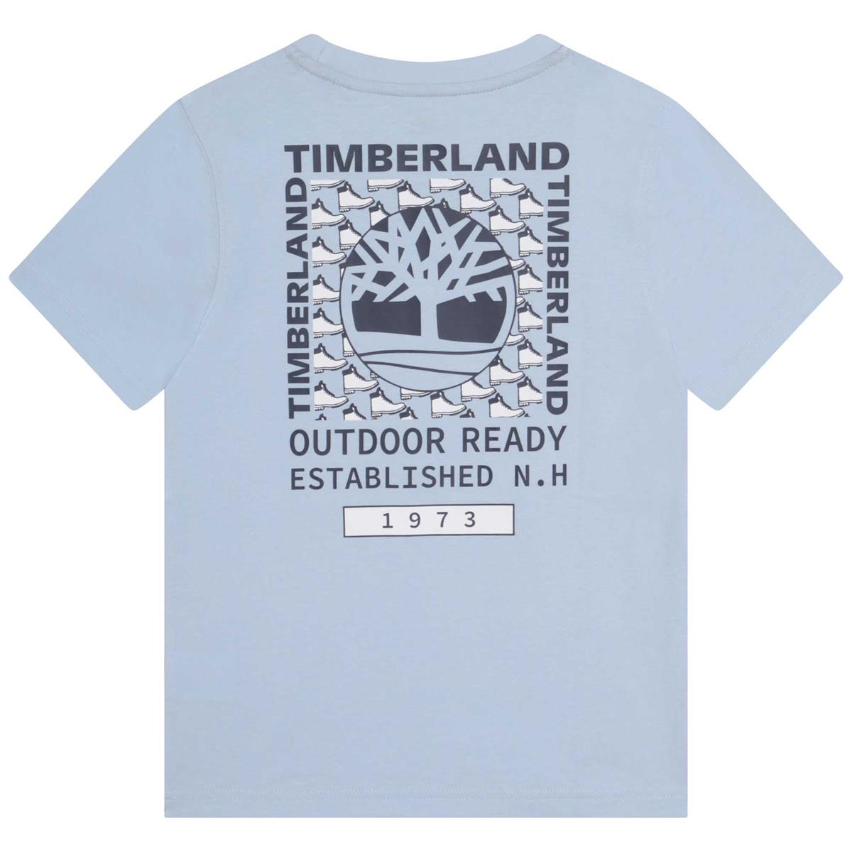 Boys & Girls Grey T-Shirts