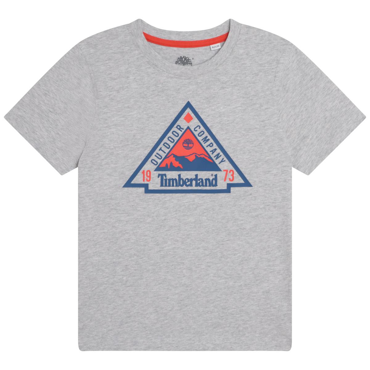 Boys & Girls Grey T-Shirts