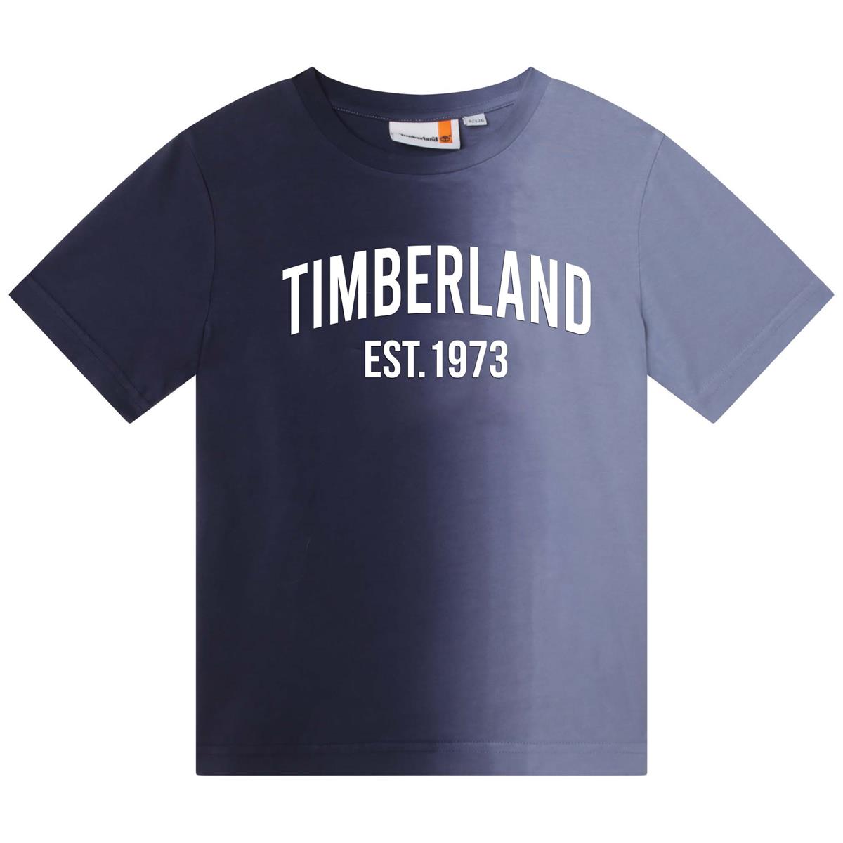 Boys & Girls Grey T-Shirts