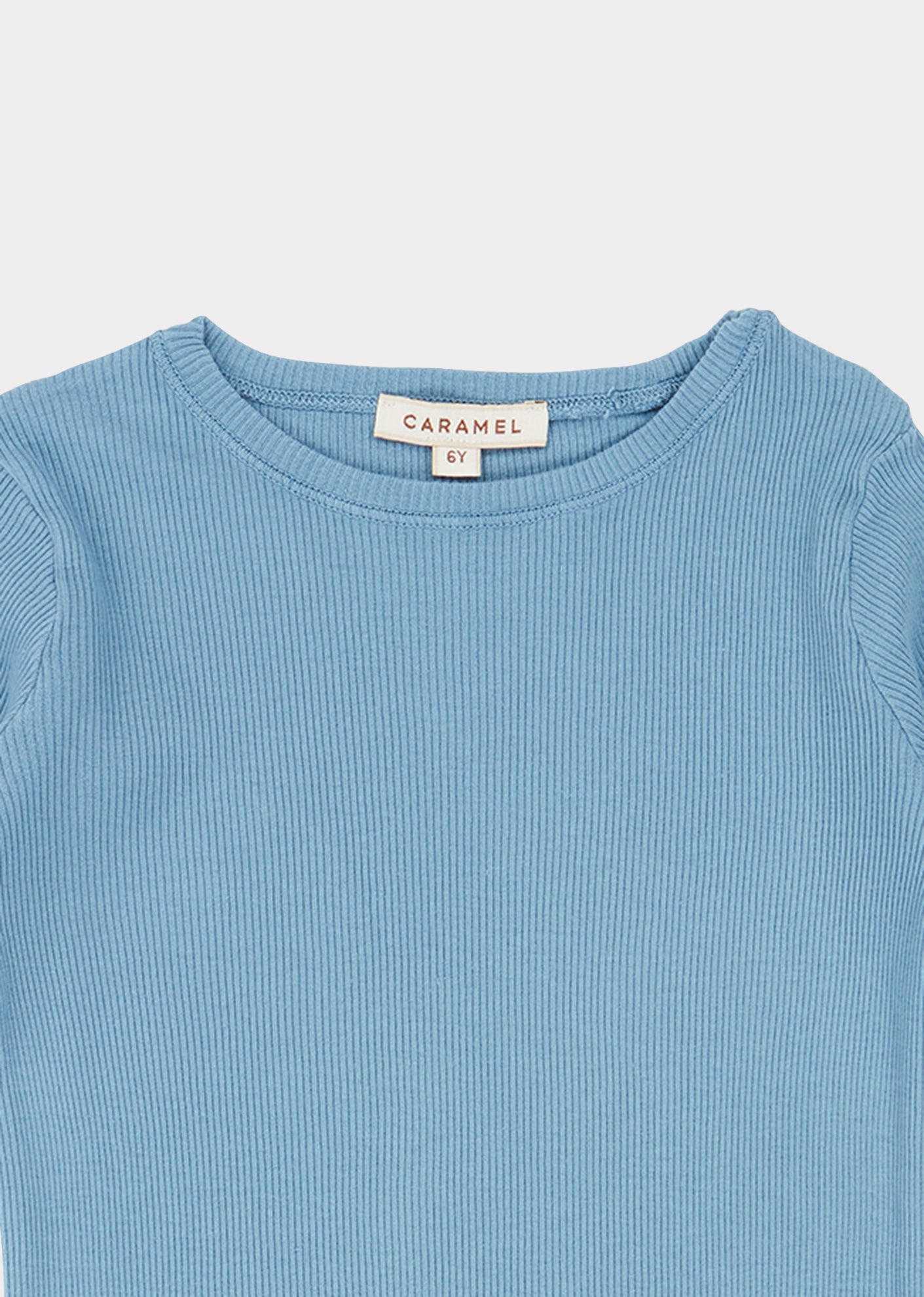 Boys & Girls Blue Flycather T-Shirt